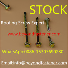 Roofing Screw Selbstbohrschraube Bi-Metal Screw